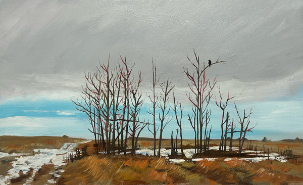 Nosehill Raven Trees