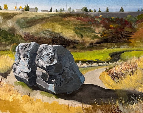 Glacier Erratic: Split Rock from above at Nosecreek Park