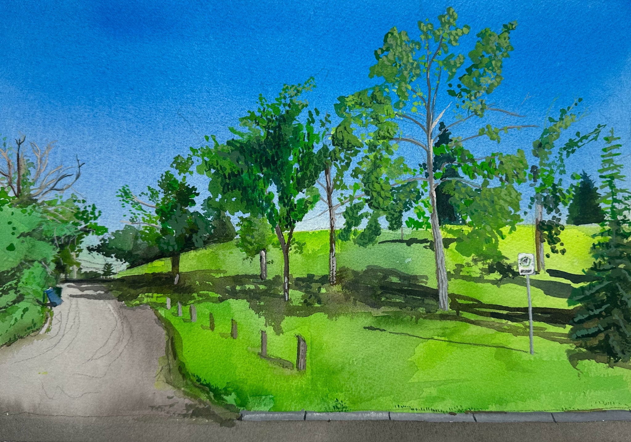 Cambrian Heights Greenspace